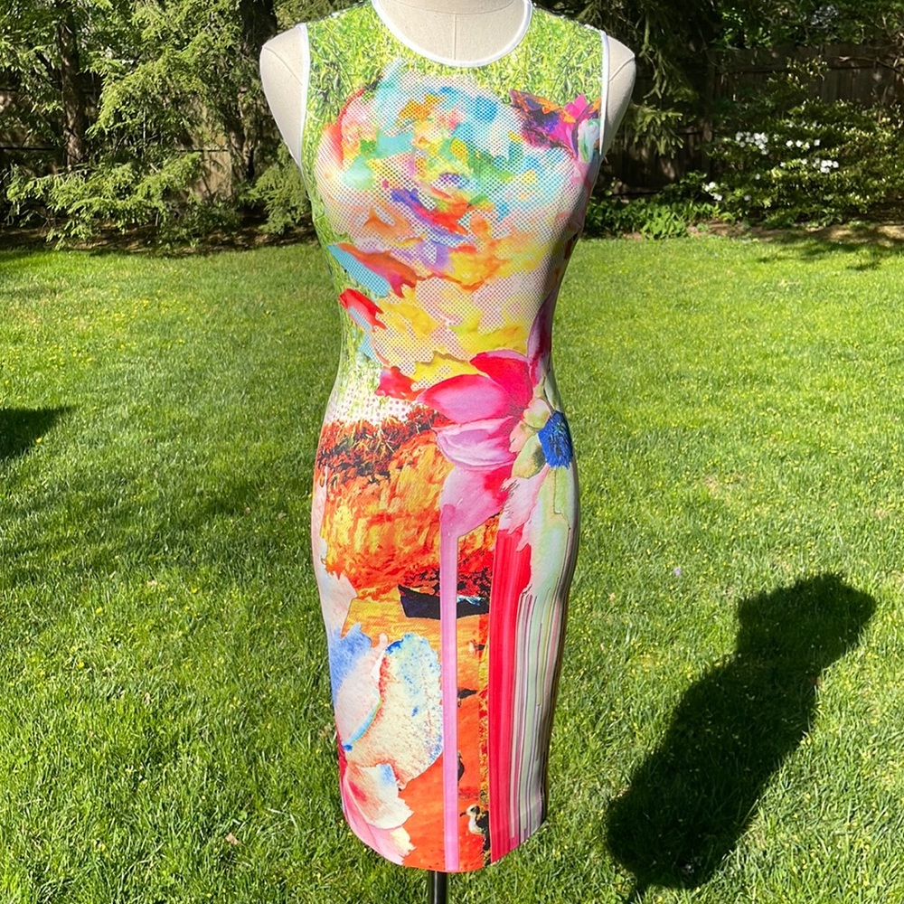 NWT Clover Canyon body con dress